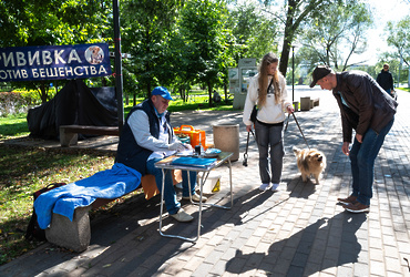 Жители Реутова бесплатно вакцинировали питомцев от бешенства