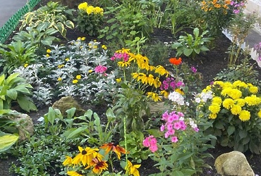 Конкурс « Мой комфортный дом»