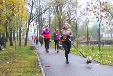 Более 100 реутовчан посетили региональный фестиваль «Человек собаке друг»