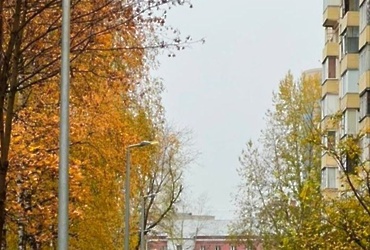 В Реутове установили более 900 новых энергоэффективных фонарей