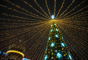 Более 30 ёлок в рамках областного проекта установили в Реутове