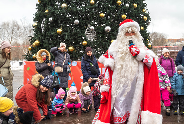 В Центральном парке Реутова прошло областное мероприятие «Новый год под шубой»