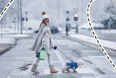 Какие опасности могут подстерегать на дороге зимой?