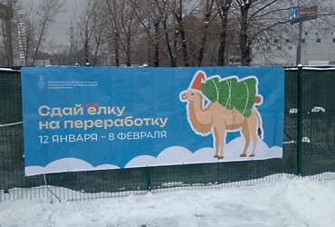 В Реутове пройдëт областная акция по сбору живых ëлок